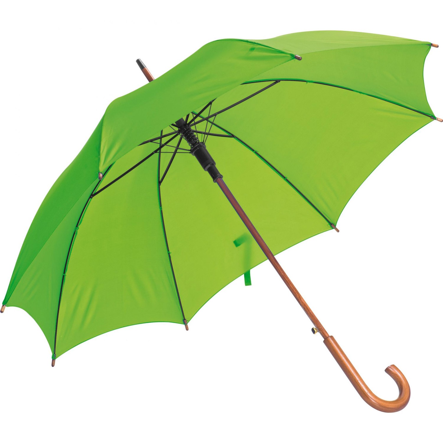 0. Foto Schirm Regenschirm Automatikstockschirm Stockschirm mit Druck Werbung 1-farbig (Schirmfarbe: apfelgrün)